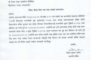 20211102041335_HIDCL-1