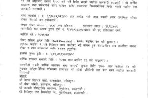 20211109041312_PLIC-1