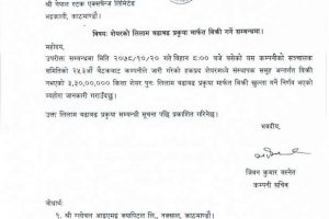 20220203043527_HIDCL-1