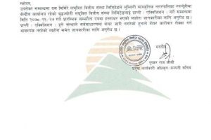 20220313061303_MMFDB-1