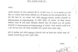 20220613082806_NIB-1